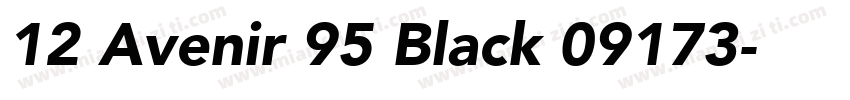 12 Avenir 95 Black 09173字体转换